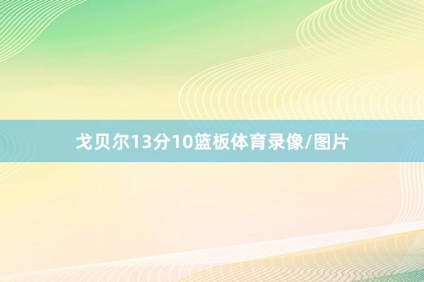 戈贝尔13分10篮板体育录像/图片