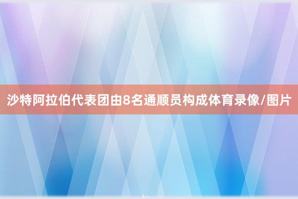 沙特阿拉伯代表团由8名通顺员构成体育录像/图片