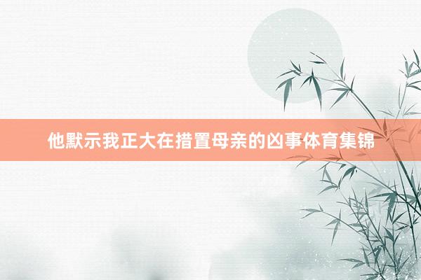 他默示我正大在措置母亲的凶事体育集锦
