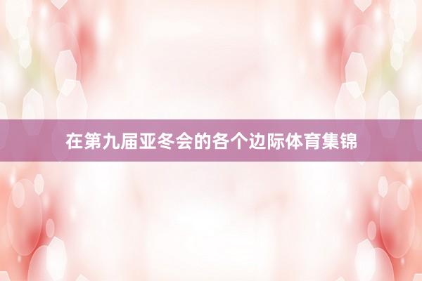 在第九届亚冬会的各个边际体育集锦