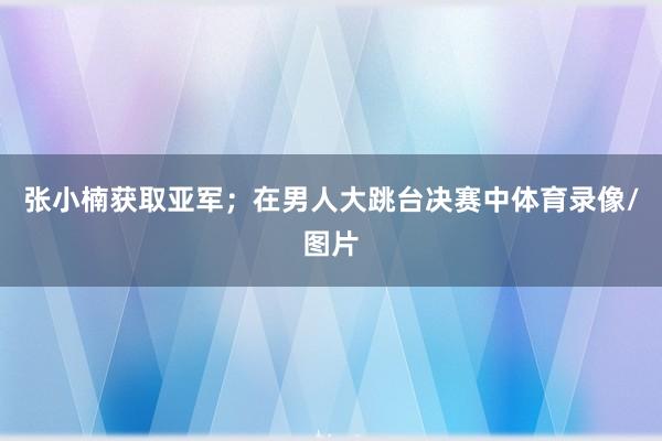 张小楠获取亚军；在男人大跳台决赛中体育录像/图片