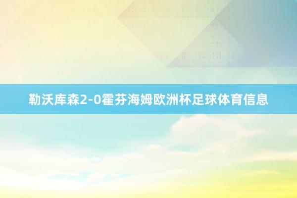 勒沃库森2-0霍芬海姆欧洲杯足球体育信息