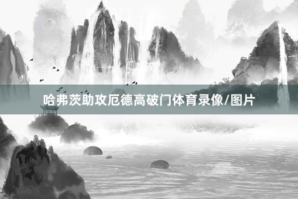 哈弗茨助攻厄德高破门体育录像/图片