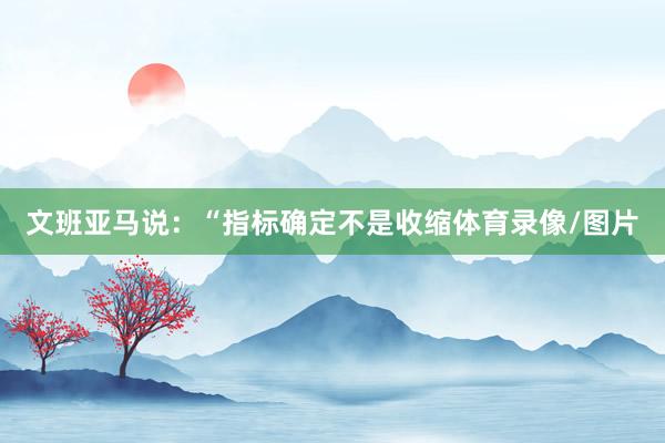 文班亚马说：“指标确定不是收缩体育录像/图片
