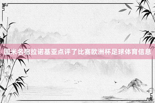 国米名宿拉诺基亚点评了比赛欧洲杯足球体育信息