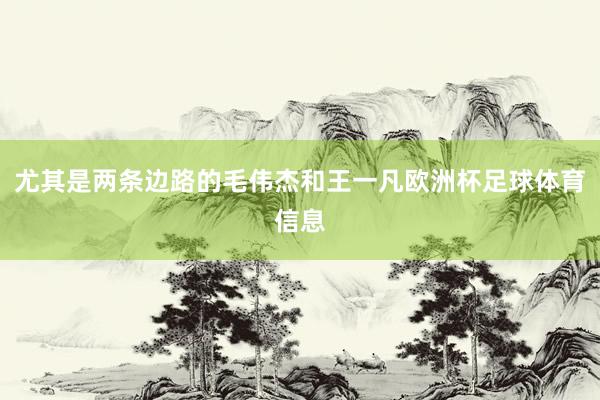 尤其是两条边路的毛伟杰和王一凡欧洲杯足球体育信息