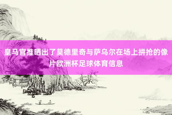 皇马官推晒出了莫德里奇与萨乌尔在场上拼抢的像片欧洲杯足球体育信息