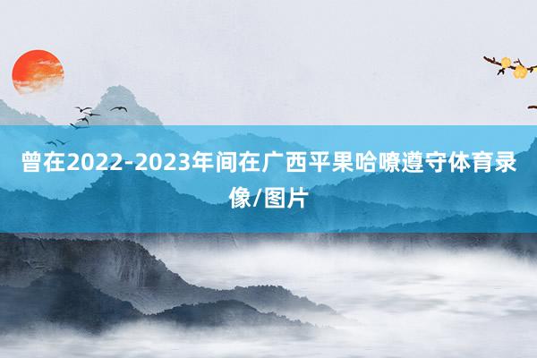 曾在2022-2023年间在广西平果哈嘹遵守体育录像/图片