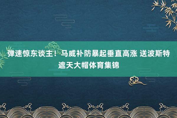 弹速惊东谈主！马威补防暴起垂直高涨 送波斯特遮天大帽体育集锦