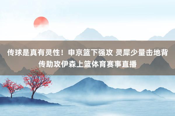 传球是真有灵性！申京篮下强攻 灵犀少量击地背传助攻伊森上篮体育赛事直播