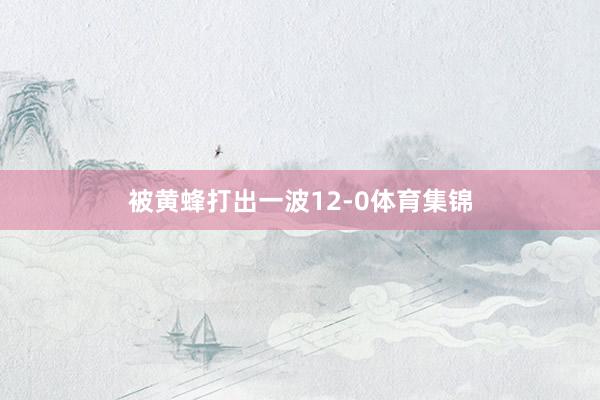 被黄蜂打出一波12-0体育集锦