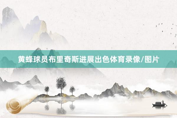 黄蜂球员布里奇斯进展出色体育录像/图片