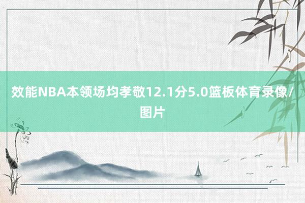 效能NBA本领场均孝敬12.1分5.0篮板体育录像/图片