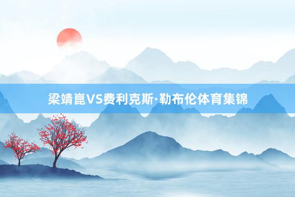 梁靖崑VS费利克斯·勒布伦体育集锦