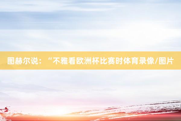 图赫尔说：“不雅看欧洲杯比赛时体育录像/图片