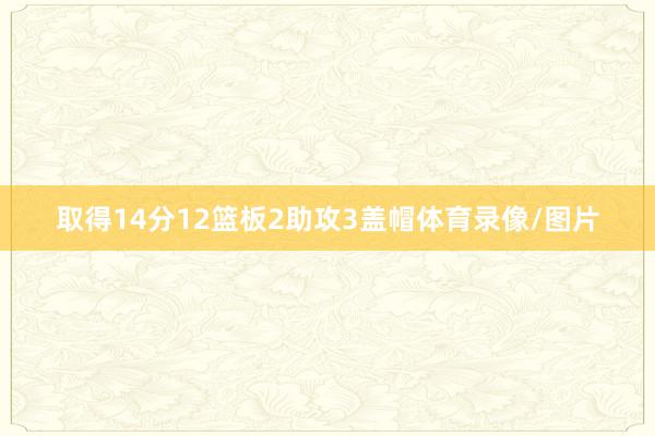 取得14分12篮板2助攻3盖帽体育录像/图片