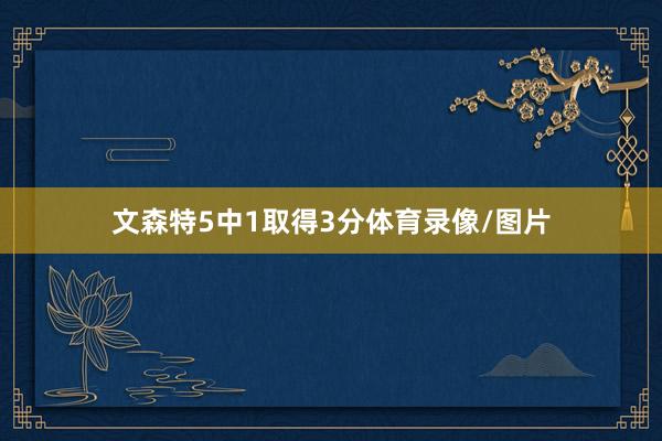 文森特5中1取得3分体育录像/图片