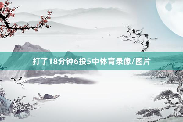 打了18分钟6投5中体育录像/图片