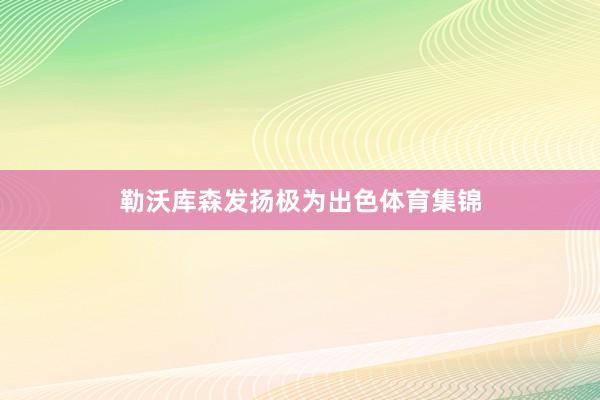 勒沃库森发扬极为出色体育集锦