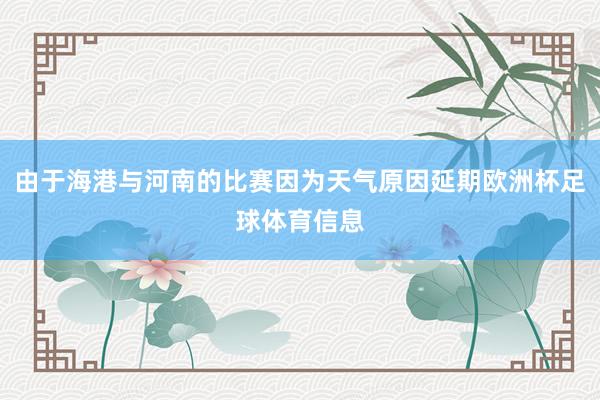 由于海港与河南的比赛因为天气原因延期欧洲杯足球体育信息