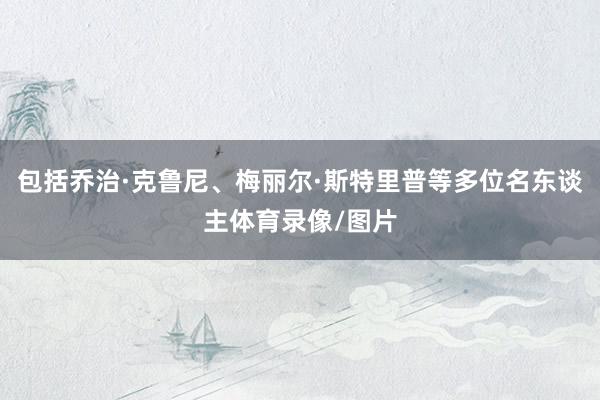 包括乔治·克鲁尼、梅丽尔·斯特里普等多位名东谈主体育录像/图片