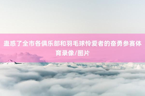 蛊惑了全市各俱乐部和羽毛球怜爱者的奋勇参赛体育录像/图片