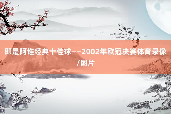 即是阿谁经典十佳球——2002年欧冠决赛体育录像/图片