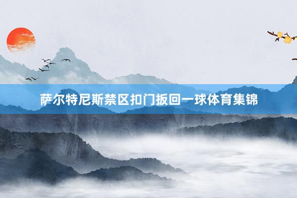 萨尔特尼斯禁区扣门扳回一球体育集锦