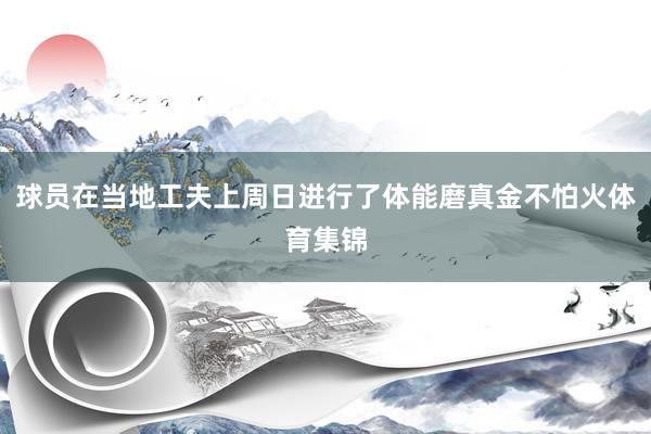 球员在当地工夫上周日进行了体能磨真金不怕火体育集锦
