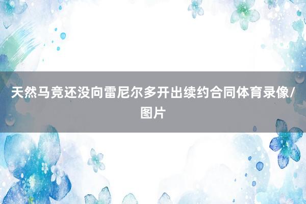 天然马竞还没向雷尼尔多开出续约合同体育录像/图片