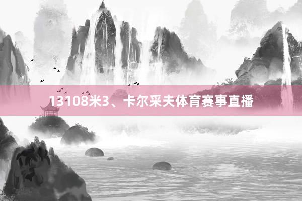 13108米3、卡尔采夫体育赛事直播