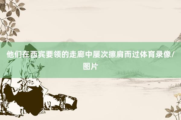 他们在西宾要领的走廊中屡次擦肩而过体育录像/图片