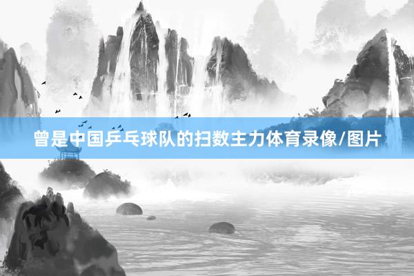 曾是中国乒乓球队的扫数主力体育录像/图片