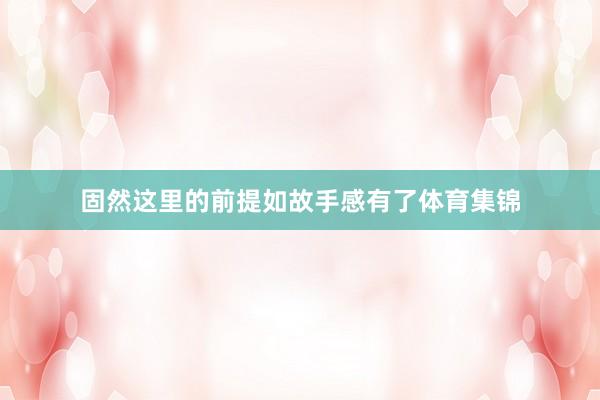 固然这里的前提如故手感有了体育集锦
