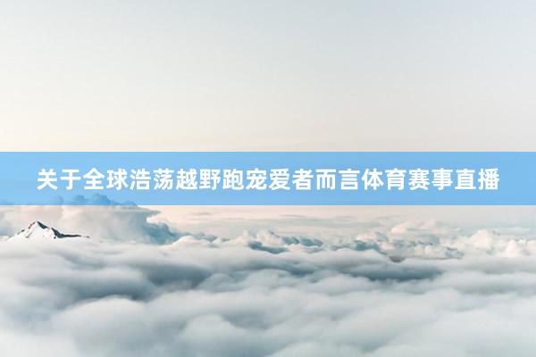 关于全球浩荡越野跑宠爱者而言体育赛事直播