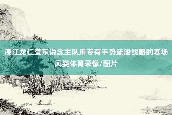 湛江龙仁聋东说念主队用专有手势疏浚战略的赛场风姿体育录像/图片