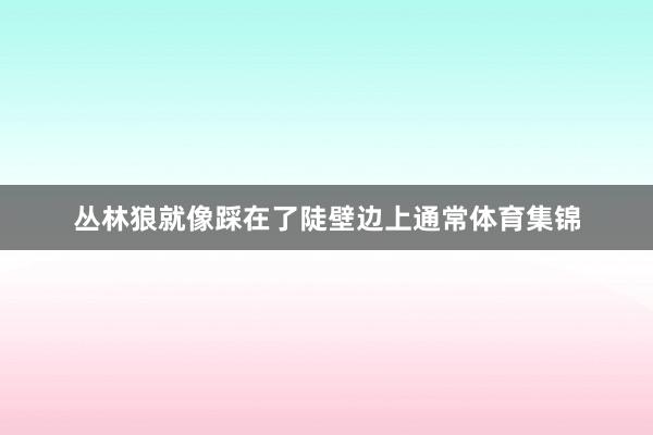 丛林狼就像踩在了陡壁边上通常体育集锦