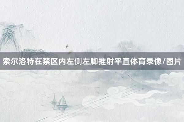 索尔洛特在禁区内左侧左脚推射平直体育录像/图片