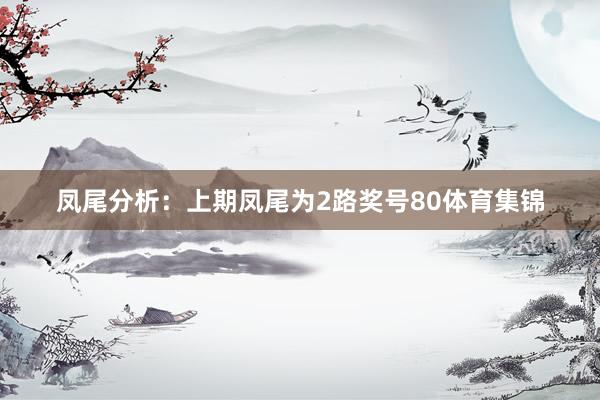 凤尾分析：上期凤尾为2路奖号80体育集锦