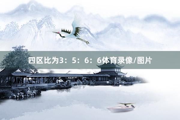四区比为3：5：6：6体育录像/图片