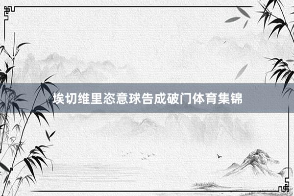 埃切维里恣意球告成破门体育集锦
