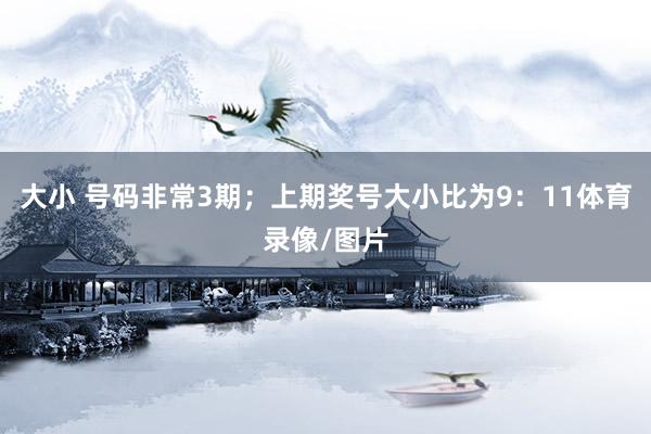大小 号码非常3期；上期奖号大小比为9：11体育录像/图片