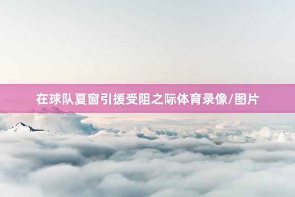 在球队夏窗引援受阻之际体育录像/图片