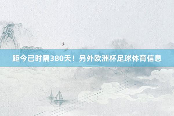 距今已时隔380天！另外欧洲杯足球体育信息