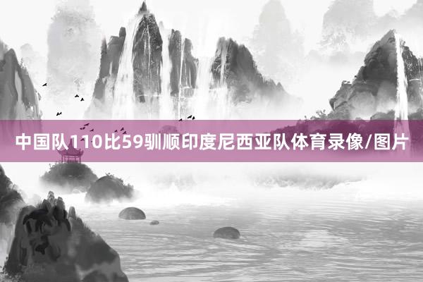 中国队110比59驯顺印度尼西亚队体育录像/图片
