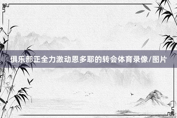 俱乐部正全力激动恩多耶的转会体育录像/图片