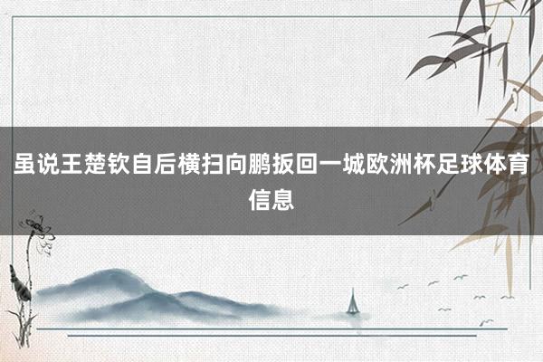 虽说王楚钦自后横扫向鹏扳回一城欧洲杯足球体育信息