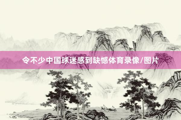 令不少中国球迷感到缺憾体育录像/图片