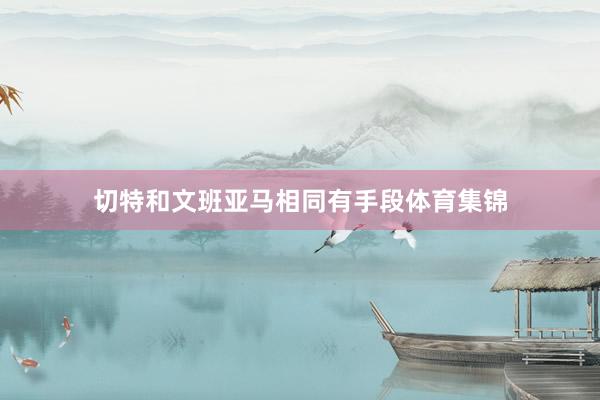 切特和文班亚马相同有手段体育集锦