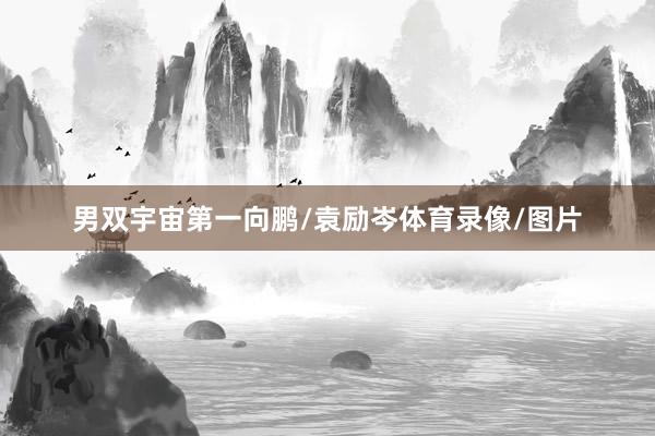 男双宇宙第一向鹏/袁励岑体育录像/图片